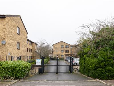 Picture 24